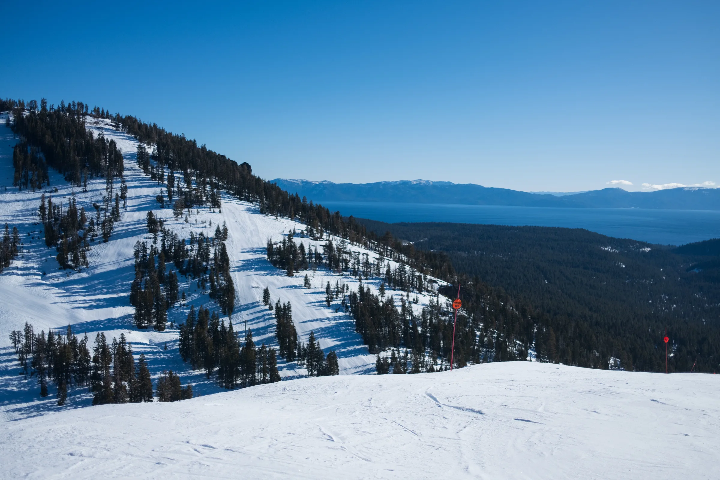 Lake Tahoe seen from a snowy ski slope, pines falling away to the water.